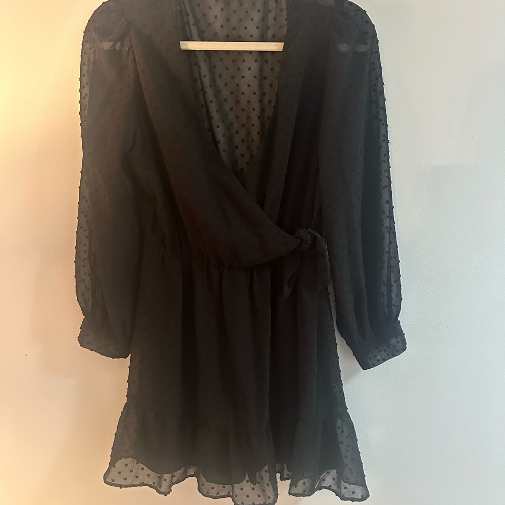 Zara Black Polka Dot Sheer Fabric